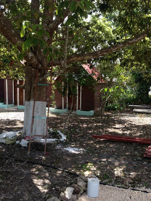 Cabanas Chaac Calakmul スプヒル エクステリア 写真