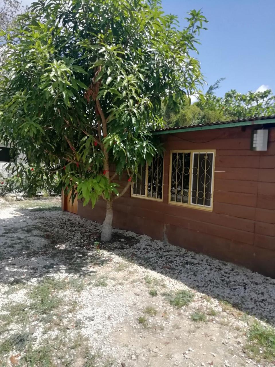 Cabanas Chaac Calakmul スプヒル エクステリア 写真